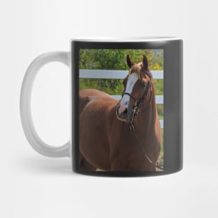 Horse show Mug